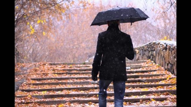 Vladimir Polyakov Осень