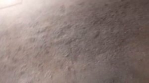 Песня про ИЛЮШУ!!!