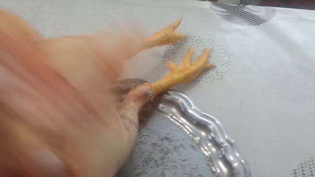 Великан петух Мастер Грей шокировал нас. смотреть онлайн