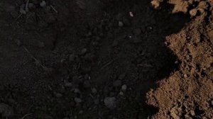 Подготовка к севу: прокрутка сеялки, расчет нормы высева, выставление глубины заделки семян(7.05.21