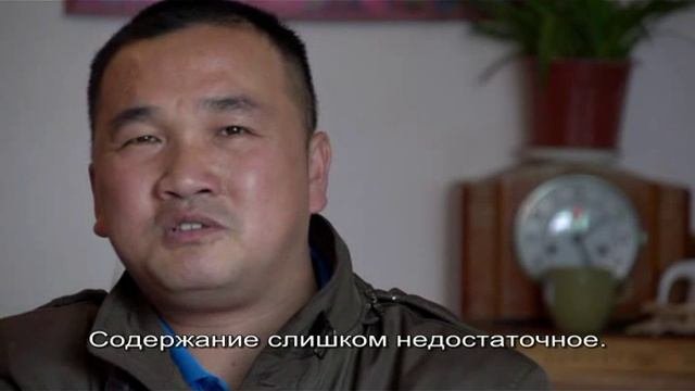 Глобальная гражданственность