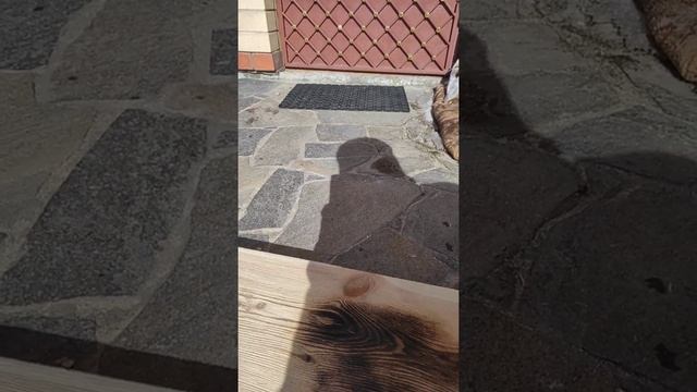 Браширование древесины сосны под цвет венге.