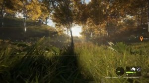 The hunter Call of the Wild | Хершфилд|Сфотографировать европейскую Лань