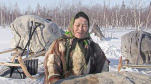 Счастье рядом, когда молодёжь идет вперёд. Ненецкий чум. Стойбище оленеводов. Ямал | Ясавэй