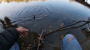 Мормышинг , рыбалка на мормориги от Jig-Sinkers, поиск окуня.