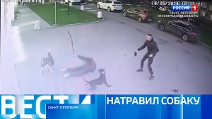 Вести Санкт-Петербург. Выпуск 14:30 от 17.05.2024