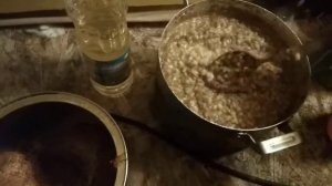 Метод кормления крупных пород собак, дёшево и полезно