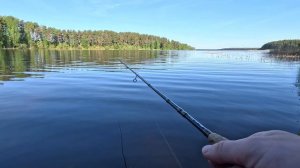 Микрорыба на микроджиг, Селигер