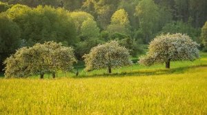 Узнав о том, что муж изменяет с её подругой, жена не стала поднимать шум,а лишь загадочно улыбнулас