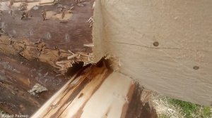 Угол лапа-чаша в чем хитрость