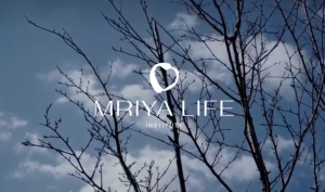 Медитация с поющими чашами от Mriya Life Institute