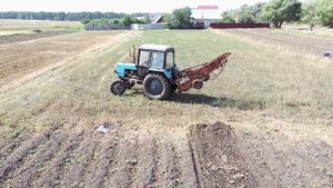 Уборка урожая картофеля 2021.08.29