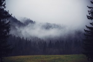 Артём Гельман - Перестройка