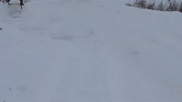 Электроснегокат Сибиренок 350