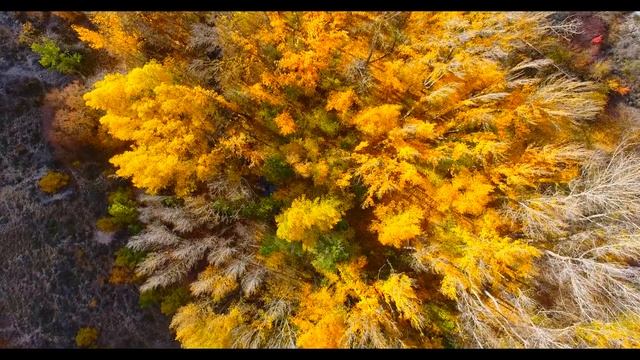 Ключ к использованию - "Вселенской энергии плазмы"