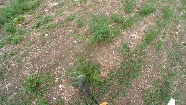 ПОИСК МОНЕТ С МЕТАЛЛОИСКАТЕЛЕМ.КОЛЬЦЕВИК В ОТЛИЧНОМ СОХРАНЕ.