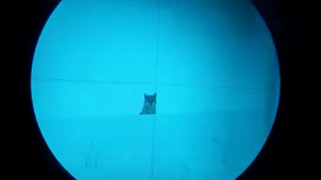 Волк наблюдает с гребня горы за группой рабочих смотреть онлайн