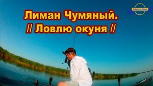 Лиман Чумяный. // Ловлю окуня /// Рыбалка на Кубани 2024 /// Выпуск № 41