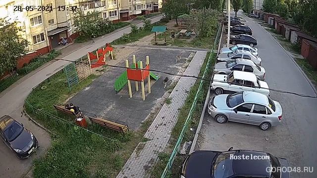 Под Липецком стая бродячих псов набросилась на 5-летнего мальчика смотреть онлайн