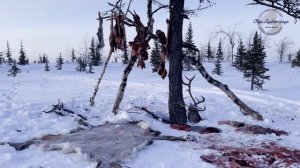 Три дня на Ямале