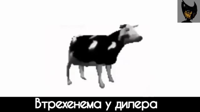 Как звучит "Tylko Jedno W Głowie Mam" на русском. Корова танцует под польскую песню. Флексит корова смотреть онлайн