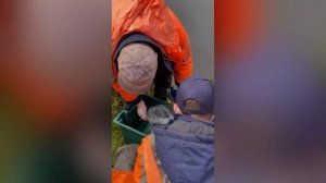 В Ясный и Джамгаровский пруды запустили рыбу