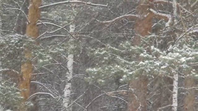 ИГОРЬ СТРЕМЕЕВ. Стихотворение смотреть онлайн