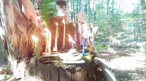 чистка Рода на удачу,успех,здоровье,на финансы ,чистка родовой порчи