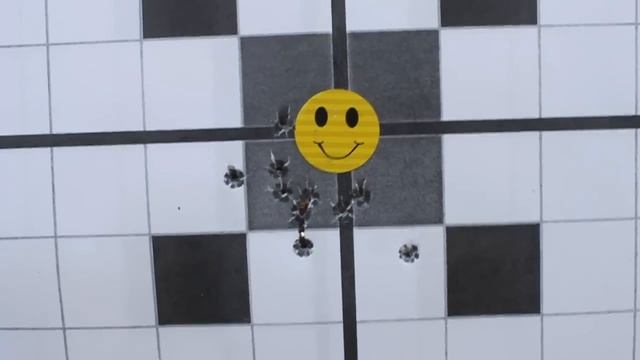 22 short accuracy in Ruger American Rimfire смотреть онлайн