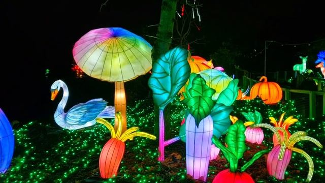 Wild Lights 2023 Dublin