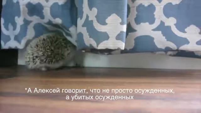 ПОЧЕМУ СССР ГОВНО ПОТОМУ ЧТО АЛЕКСЕЙ смотреть онлайн