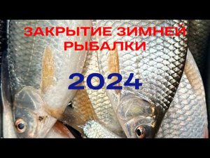 МОРСКАЯ СОРОГА