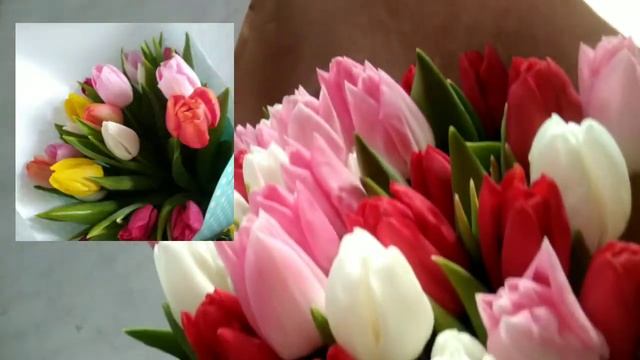 ⚫Выгонка тюльпанов / Собираю огромный букет