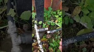 Продувать трубы в конце сезона, одно удовольствие!