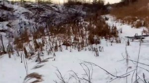 Поставил ловушки для бобра . часть 1