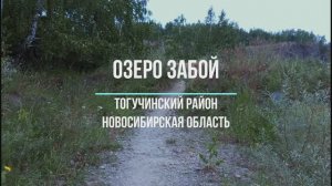 озеро Забой, Тогучинский район, Новосибирская область #озера Новосибирской области #озера Сибири