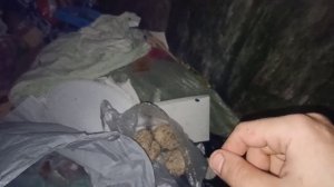 НАХОДКИ НА МУСОРКЕ