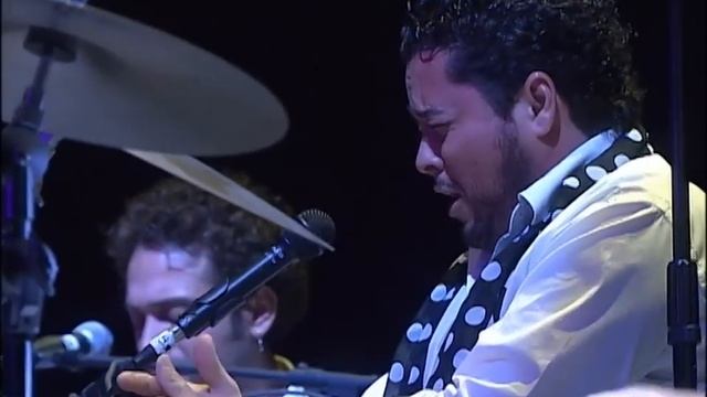 Vicente Amigo  guitarrista flamenco español