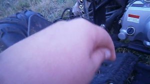 обзор квадроцикл ABM Scorpion 110cc