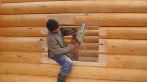 Выборка древесины под обналичку