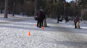 Тестирование РА Опасная Особа ТОЛПА