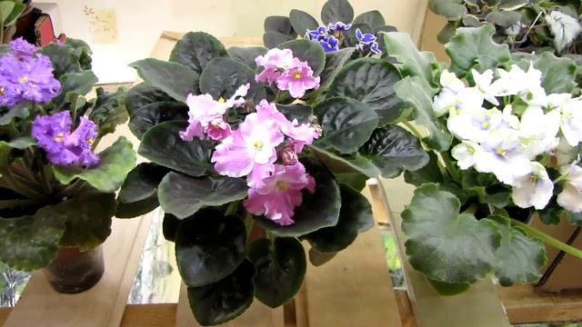 СВЕТОДИОДНОЕ освещение для стеллажа КАК ВЫБРАТЬ и ПОСЧИТАТЬ! Личный опыт! смотреть онлайн