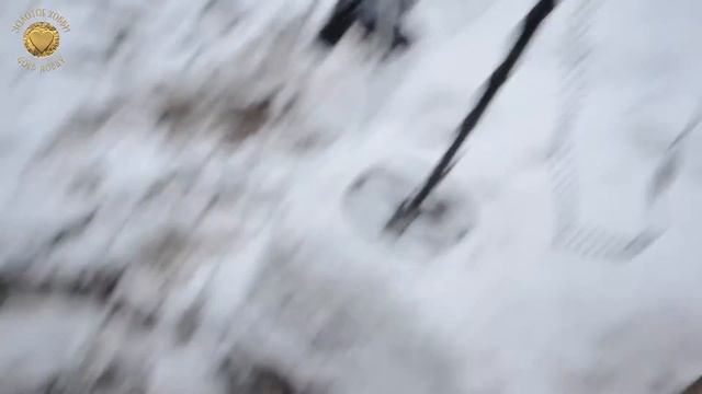 ВЕЩИЙ СОН, СЕРЕБРО И БАЙКА О ТАЙНИКЕ. Garret Ace 350: Этот фундамент - просто КЛАД! смотреть онлайн