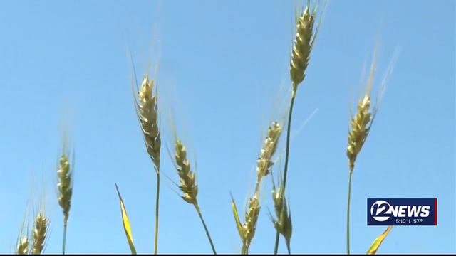 Kansas program looks to benefit from farm bill смотреть онлайн