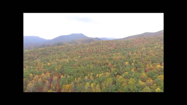 Flight of my Phantom 3 Standard смотреть онлайн