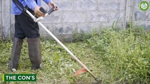 Grass Trimmer vs Lawn Mower - Choosing the Right Tool for Your Lawn!