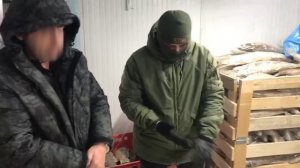 В Самарской области арестовали крышевавшего браконьеров чиновника Росрыболовства