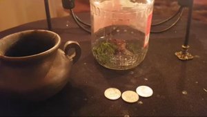 ОТДАТЬ БЕДУ ЛЯГУШКЕ. ДАРЮ ВСЕМ. ВЕДЬМИНА ИЗБА  ИНГА ХОСРОЕВА