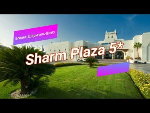 Отзыв об отеле Sharm Plaza 5* (Египет, Шарм-эль-Шейх)