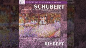 Symphony No. 8 in B Minor, D. 759: I. Allegro moderato